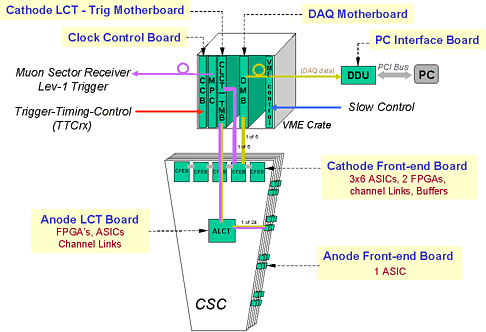 Boards on CSC layout